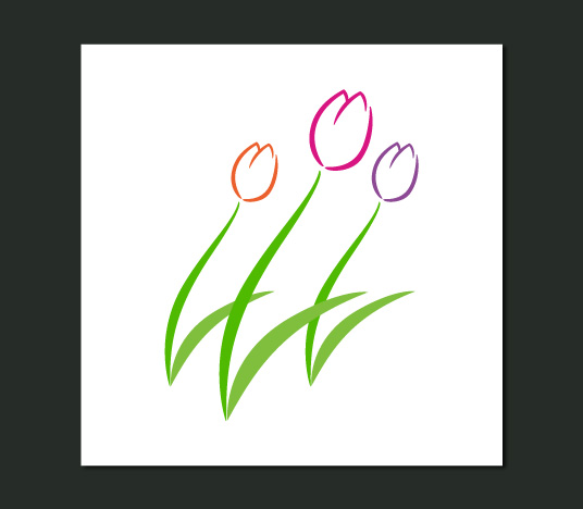 Tulips